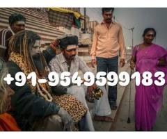 Best Astrologer in India +91-9549599183 All Problem Solutions By Astrology Services