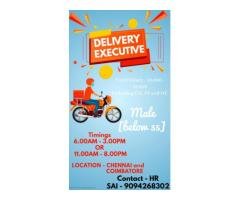 Delivery Executive