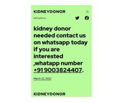 KIDNEY DONOR NEEDED