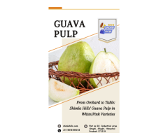 Order Bulk Guava Puree/Pulp from Shimla Hills - 3