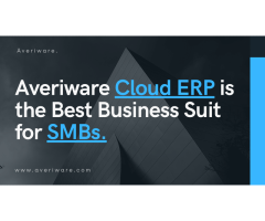 Best Cloud-Based ERP Solution for Streamlining Small Business