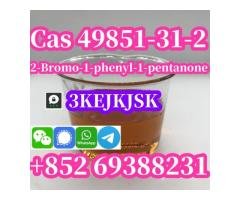 China manufacturer 2-Bromo-1-phenyl-1-pentanone Cas 49851-31-2 best quality