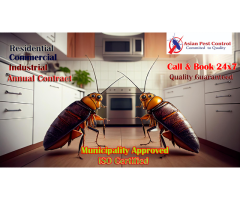 # No.1 Pest Control – High Quality & Safety