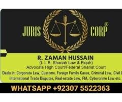 lawyer online