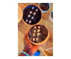 THE BEST POWERFUL SPIRITUAL HERBALIST IN NIGERIA+2349159450040 - 4