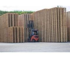 EPAL Euro Pallets - 4