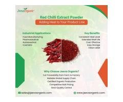 Premium Red Chilli Powder Manufacturer - Bulk Exports & Supply