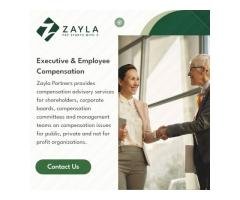 Zayla Partners - 3