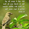 sandeep kumar