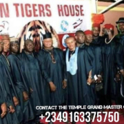 asian Tigerz