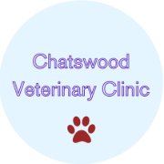 Chats Wood Vet | Vet Clinic Sydney