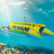 Yellow Submarine