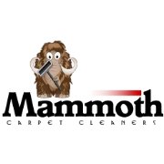 Mammoth Cleaners