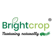 BrightCrop