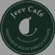 Jeev cafe - Under the cherry tree