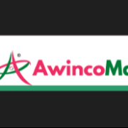 Awincomart