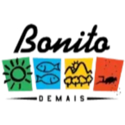 Agencia Bonito Demais