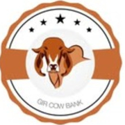 Gir Cow Bank