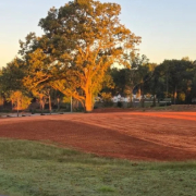 Alpha Mulching