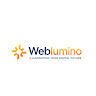 Weblumino LLP Seo team
