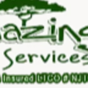Amazing Tree Service