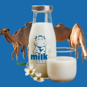 Raw Camel Milk UAE