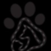 pawstreet uae