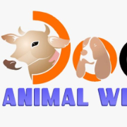 Doon Animal Welfare