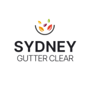 Sydney Gutter clear