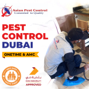 Asian Pest Control