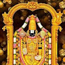 Balaji Travels
