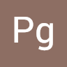Pg Partners2020